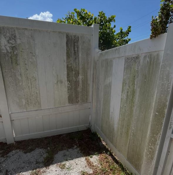 Fence covered in mildew before pressure washing
